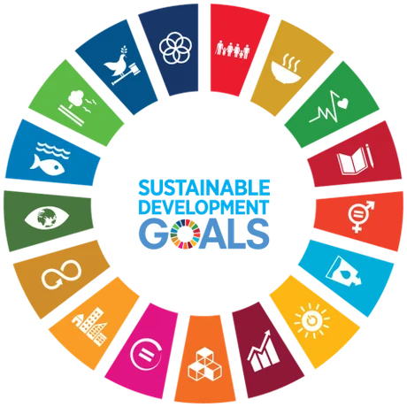 The Sustainable Development Goals logo